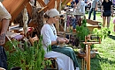 Weekend z folklorem w Węgorzewie. Przed nami 49. Międzynarodowy Jarmark Folkloru Weekend z folklorem w Węgorzewie. Przed nami 49. Międzynarodowy Jarmark Folkloru